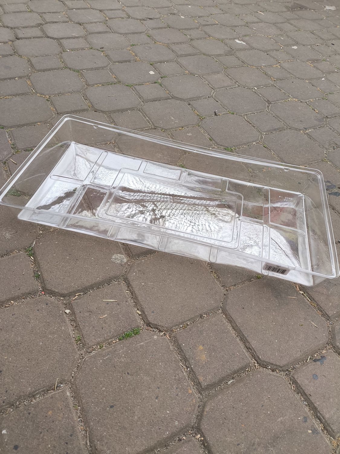 Seed Tray Domes