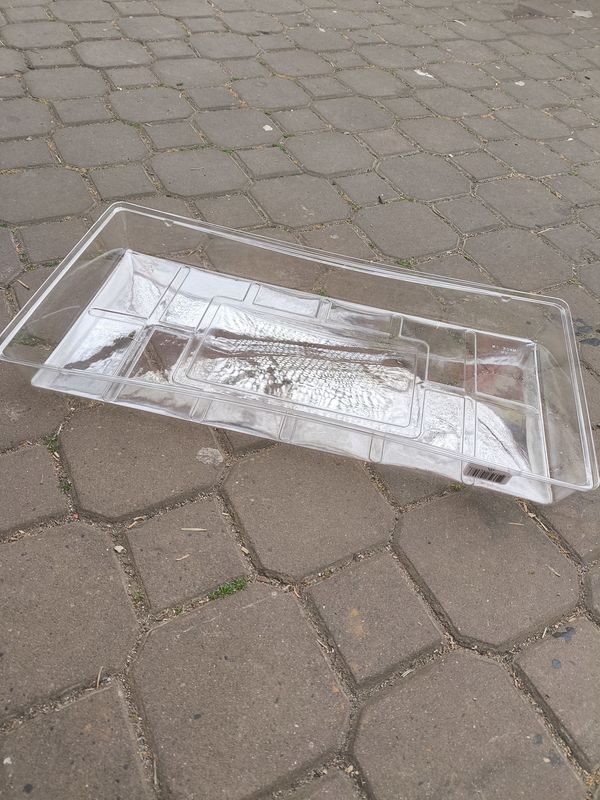 Seed Tray Domes