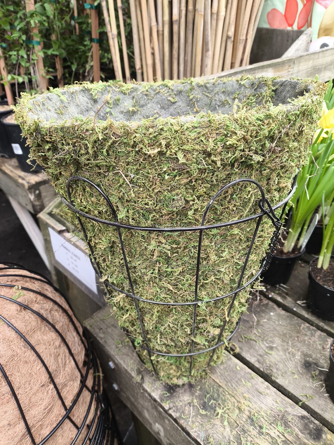 Beehive Moss Planter 12&quot;