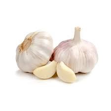 GARLIC White (Regular) 3pk.