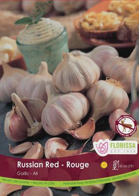 GARLIC Russian Red 3pk.
