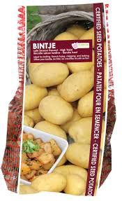 POTATO Bintje 2Kg
