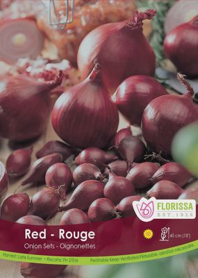 ONION Red 80pk.
