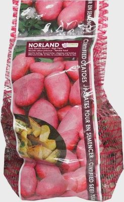 POTATO Norland 2Kg