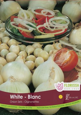 ONION White 80pk.