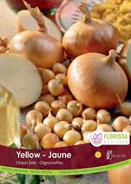 ONION Yellow 80pk.