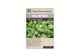 West Coast Seeds Cilantro &#39;Santo Long Standing&#39;
