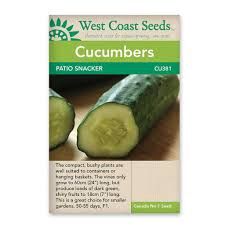 West Coast Seeds Cucumbers &#39;Patio Snacker&#39;