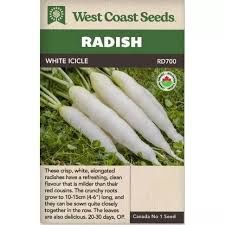 West Coast Seed Radish &#39;White Icicle&#39;