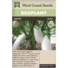 West Coast Seeds Eggplant &#39;Snowy&#39;
