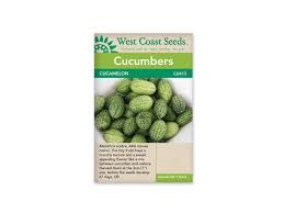 West Coast Seeds Cucumber &#39;Cucamelon&#39;