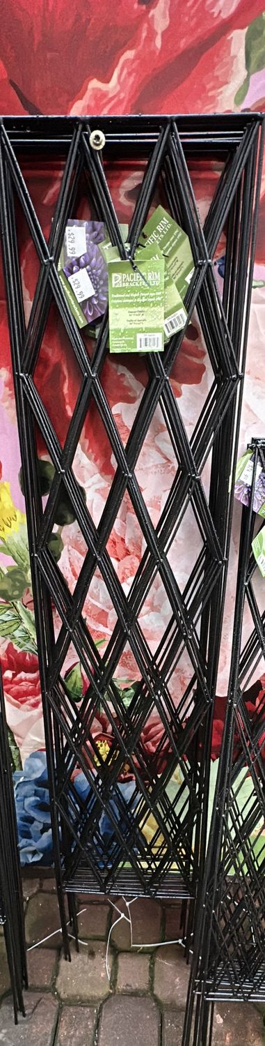 60&quot; Diamond Trellis