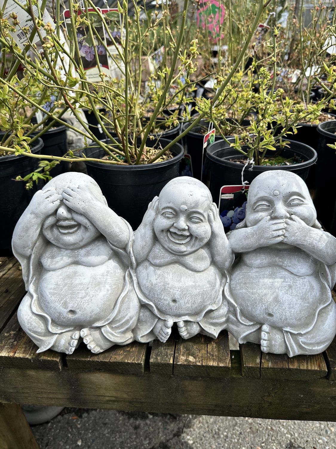 Buddha Trio Statue, Colour: Cement/Light Grey Finish
