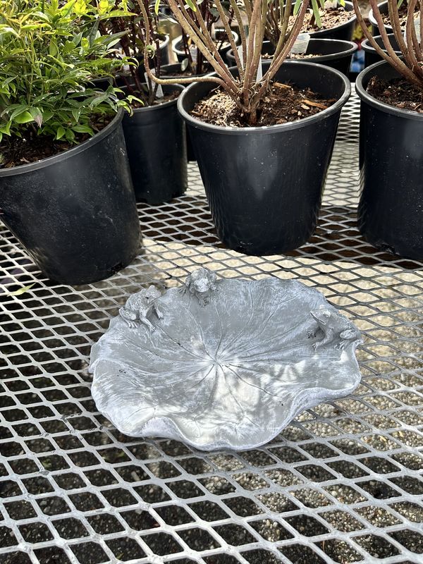 Small Bird Bath Dishes