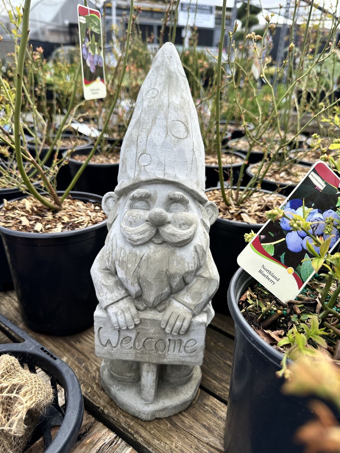 Small Garden Gnome Statue