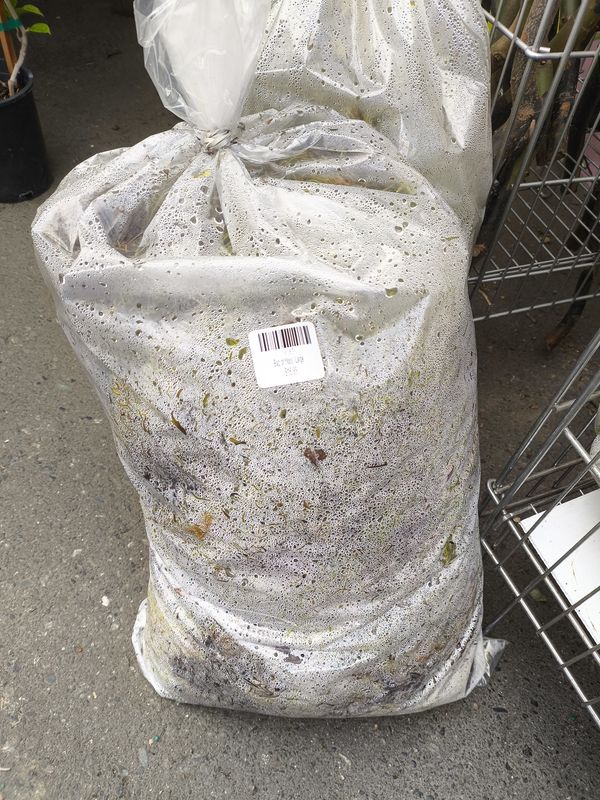 Bag of Moss (Large)