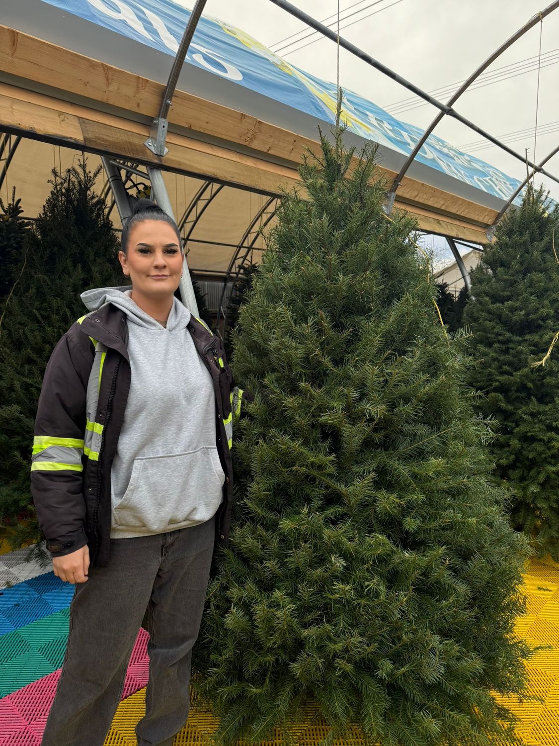 6&#39;-7&#39; Douglas