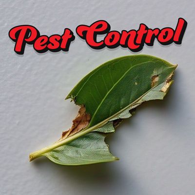 Pest Control