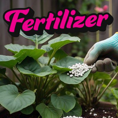 Fertilizer