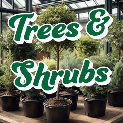 Trees &amp; Shrubs