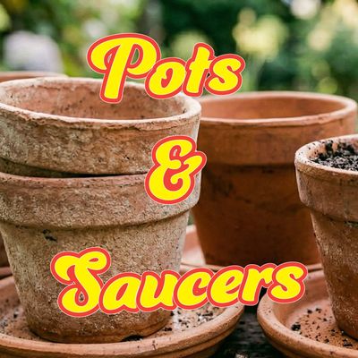 Pots &amp; Saucers