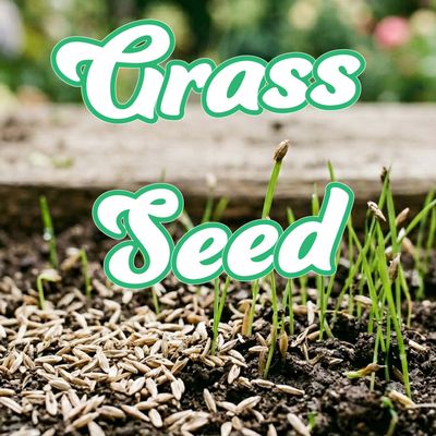 Grass Seed