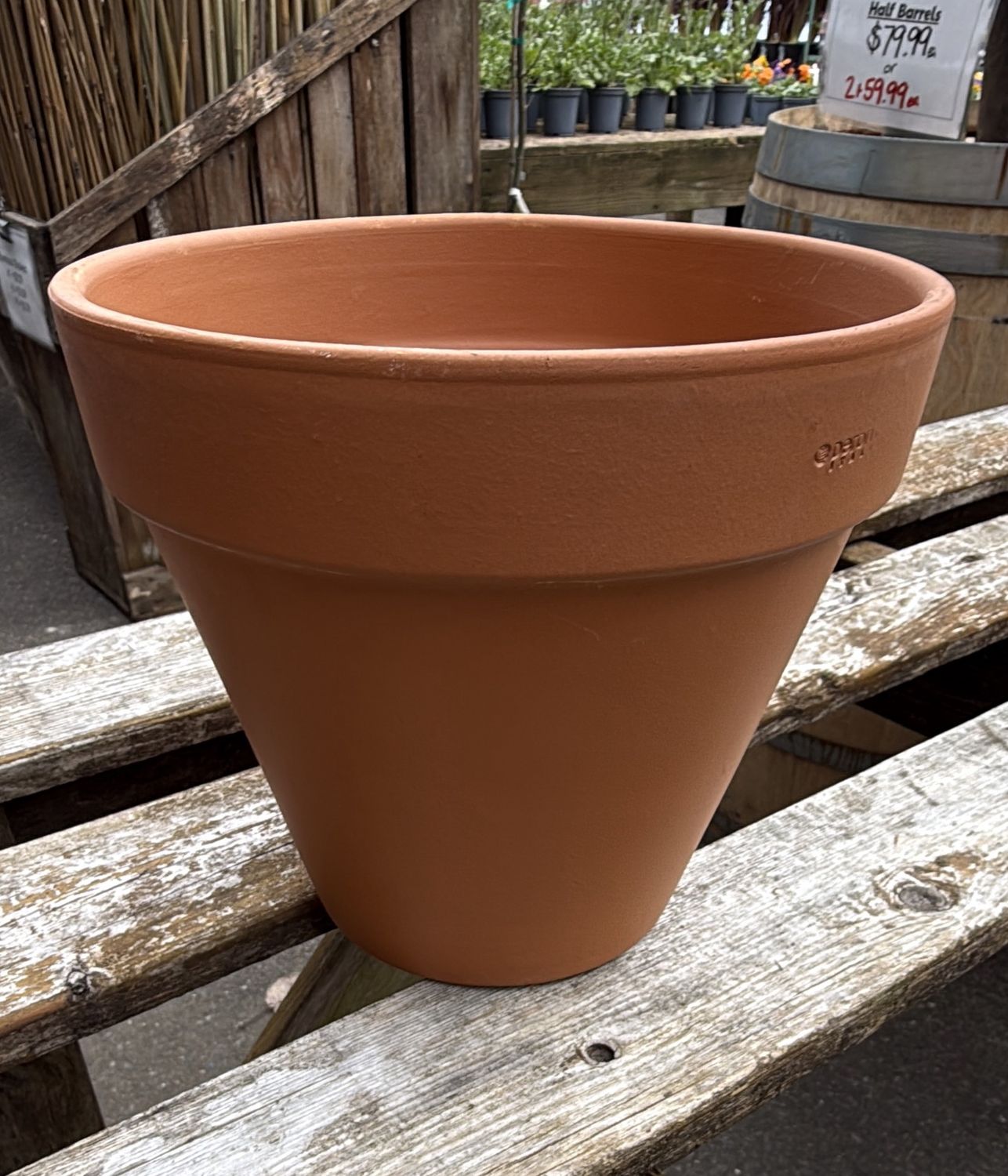 TERRA COTTA 21cm pot