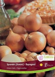 ONION Spanish