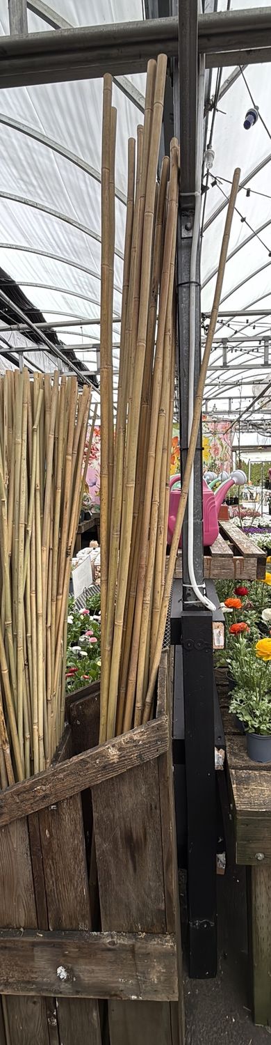 8' Bamboo Stake