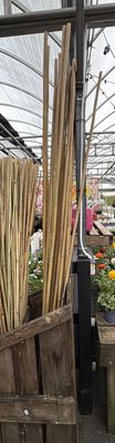 8' Bamboo Stake