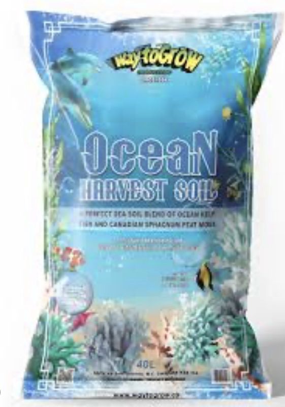 WAY TO GROW Ocean Harvest Mix 40L