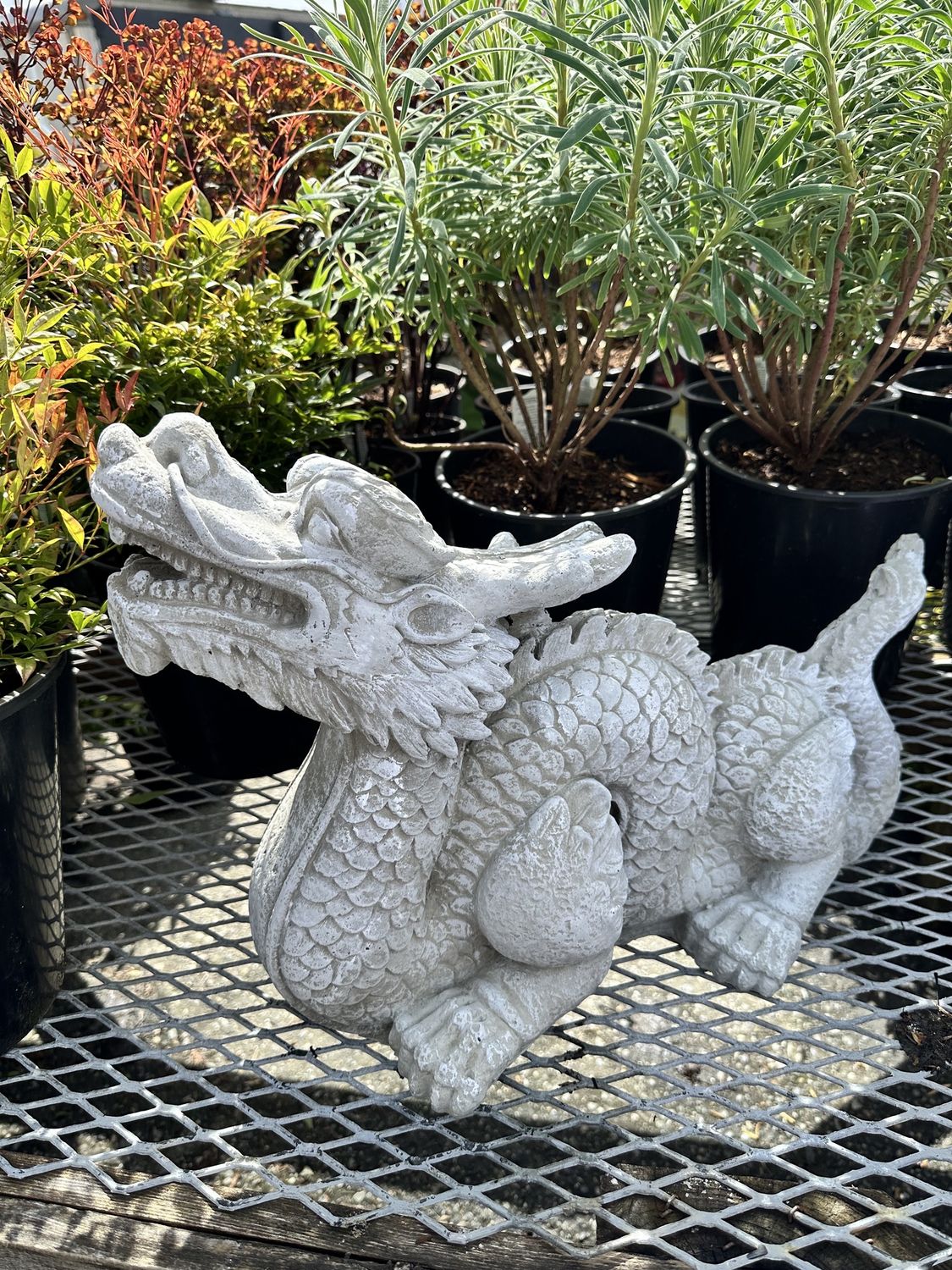 Dragon Statues, Colour: Cement/White Finish