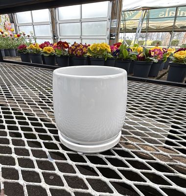 Earth Tone Pots 11cm