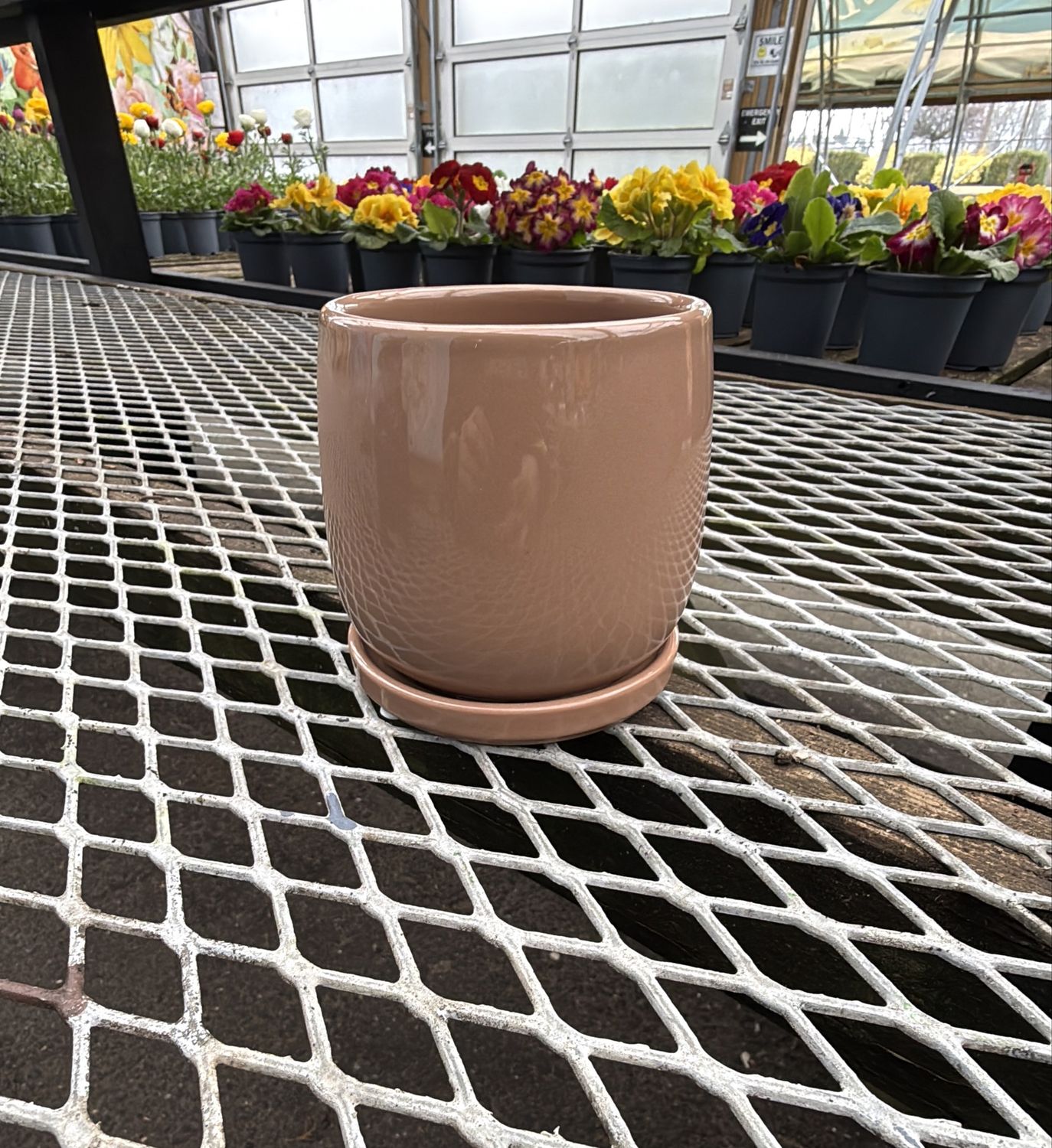 Earth Tone Pots 11cm, Colour: Brown