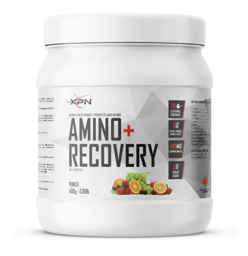 XPN CLASSIC SERIES Amino+Recovery PUNCH