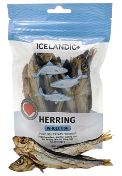 Icelandic Dog treat