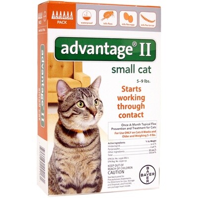 Advantage Cat SM 6 Pack (Orange)