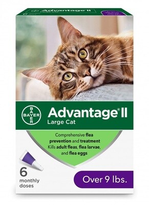 *Advantage Cat