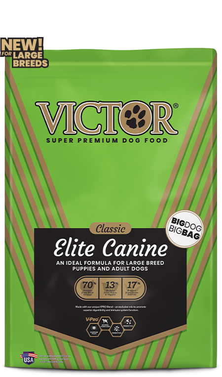 Victor Dog Elite