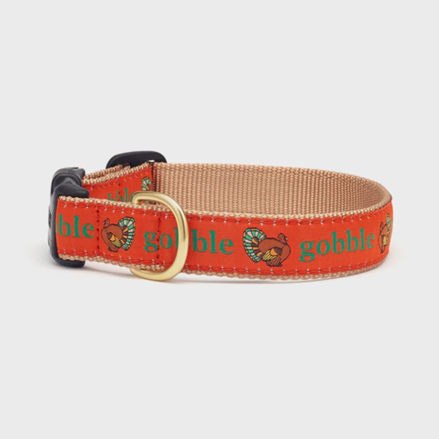 Up Country Dog Collar Gobble, Size: Width 1.0&quot; / XL (fits necks 18&quot;-24&quot;)