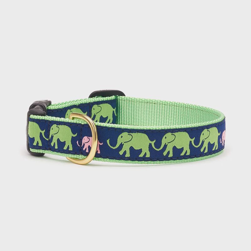 Up Country Dog Collar Leader of the Pach, Size: Width 1.0&quot; / XL (fits necks 18&quot;-24&quot;)