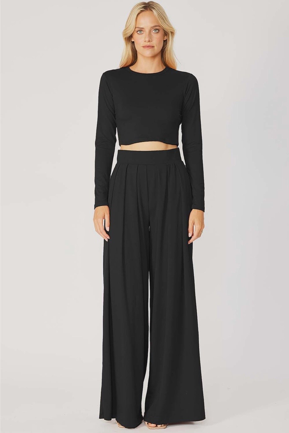 Pleated Wide Leg Pants with Cropped Baby Tee Set, Size: S