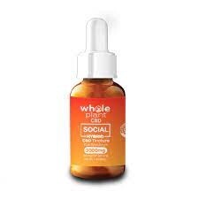 Whole Plant CBD Tincture