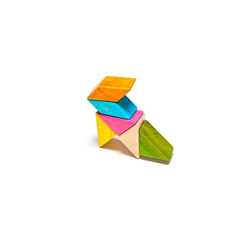 Tegu Magnetic Wooden Blocks - Pocket Pouch Prism (6pc) - Tints