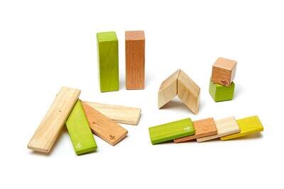 Tegu Classics Wooden Magnetic Blocks 14 Piece Set - Jungle