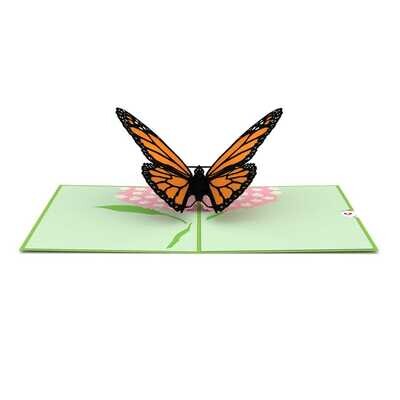 Love Pop Butterfly Card