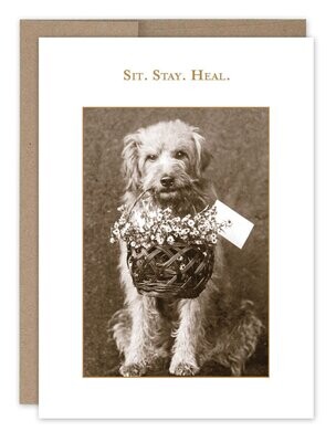 Shannon Martin Design - Sit. Stay. Heal. - Get Well Card