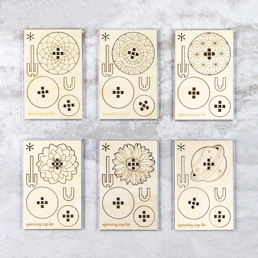 Geometric Spinning Top