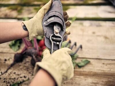 Barebones Pruner with Sheath