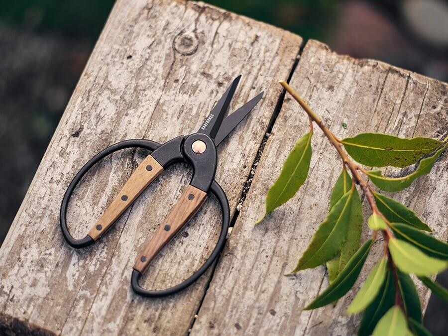 Barebones Walnut Garden Scissors - Small